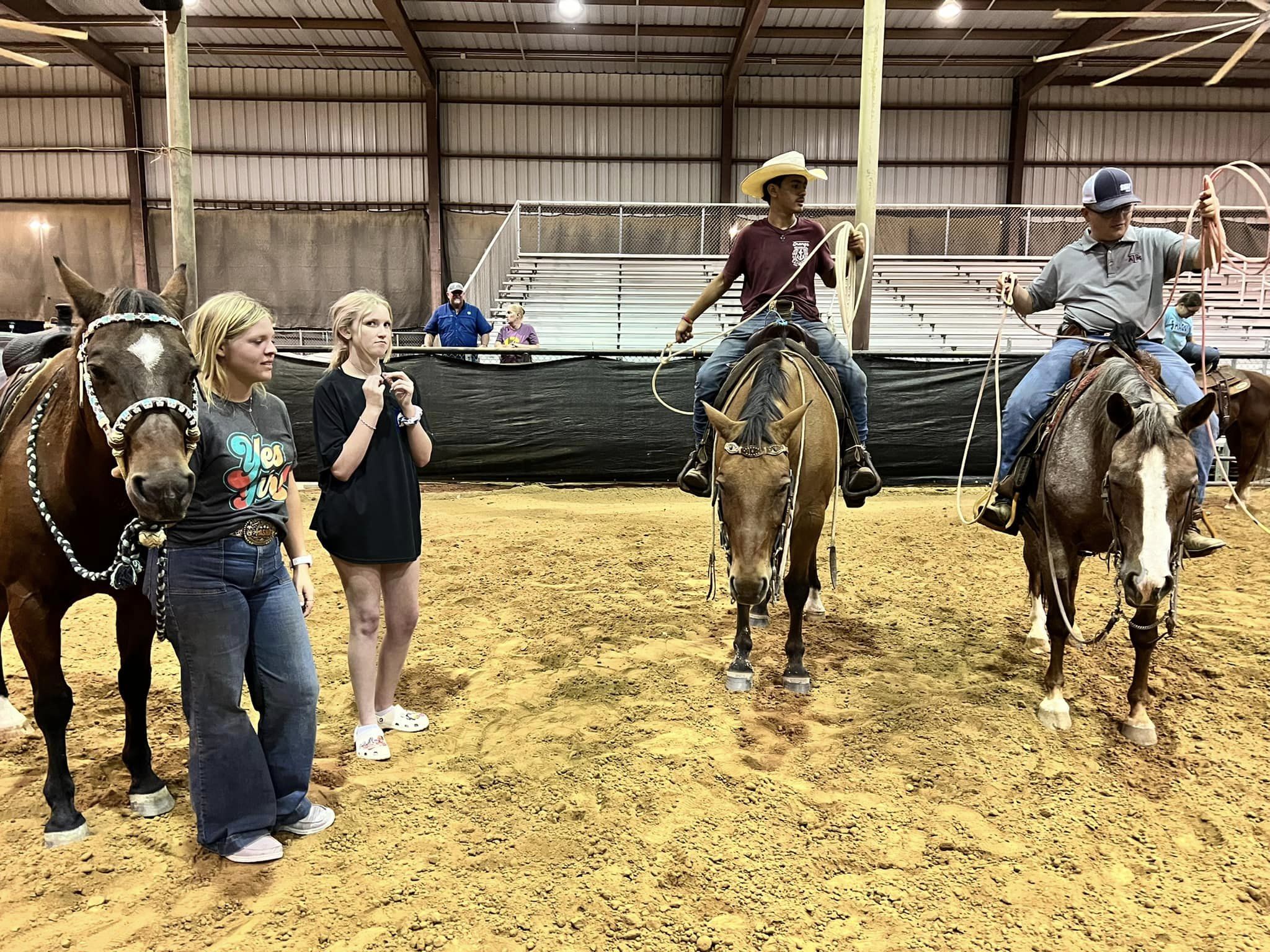 Stock horse in action